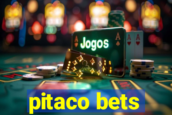 pitaco bets